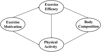 The relationships between emerging adults self-efficacy and motivation levels and physical activity: a cross-sectional study based on the self-determination theory